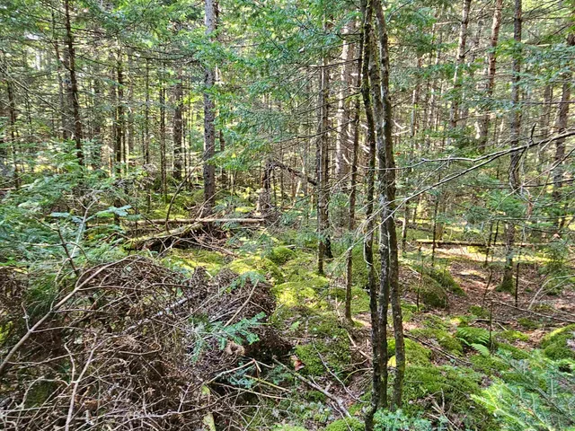 $235,000 | 1476 Profile Road, Franconia, NH 03580