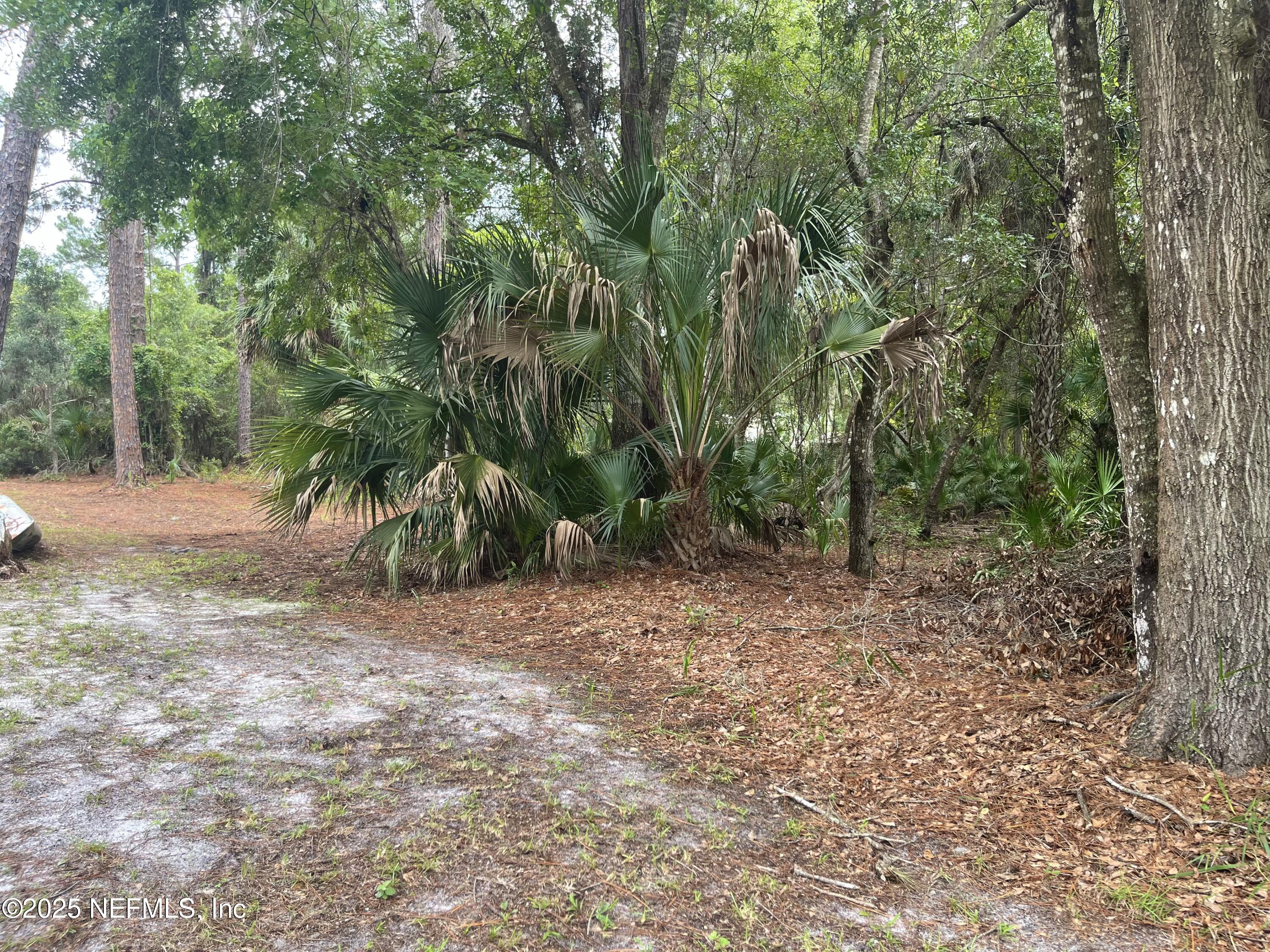120 July Avenue Georgetown, FL 32139 - Photo 10 of 10 a view of backyard with green space