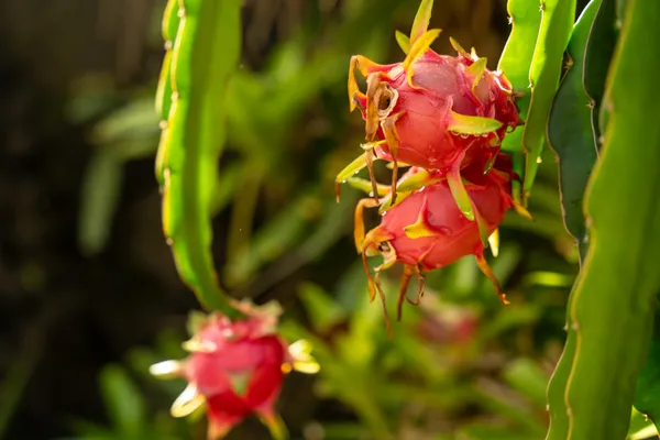 $10,050,000 | 5111 Weke Road, Hanalei, HI 96714