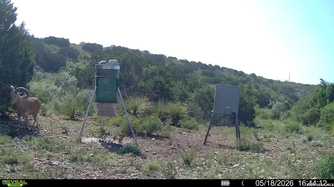 6018 North Ranch Road 2523 Del Rio, TX 78840 - Photo 56 of 64 Gallery Image 56
