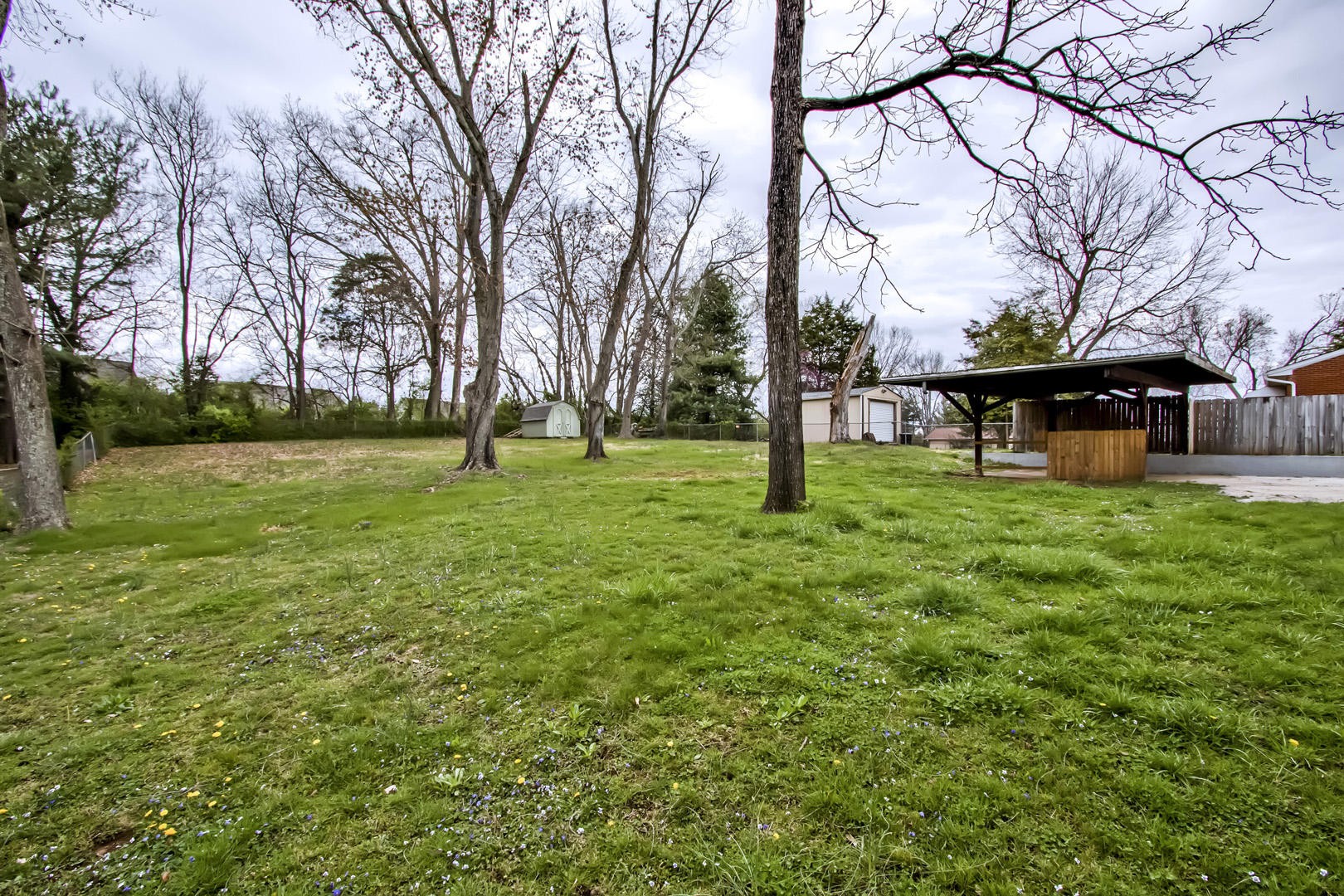 3109 Walnoaks Road Knoxville, TN 37921 - Photo 31 of 33 a view of a park with large trees