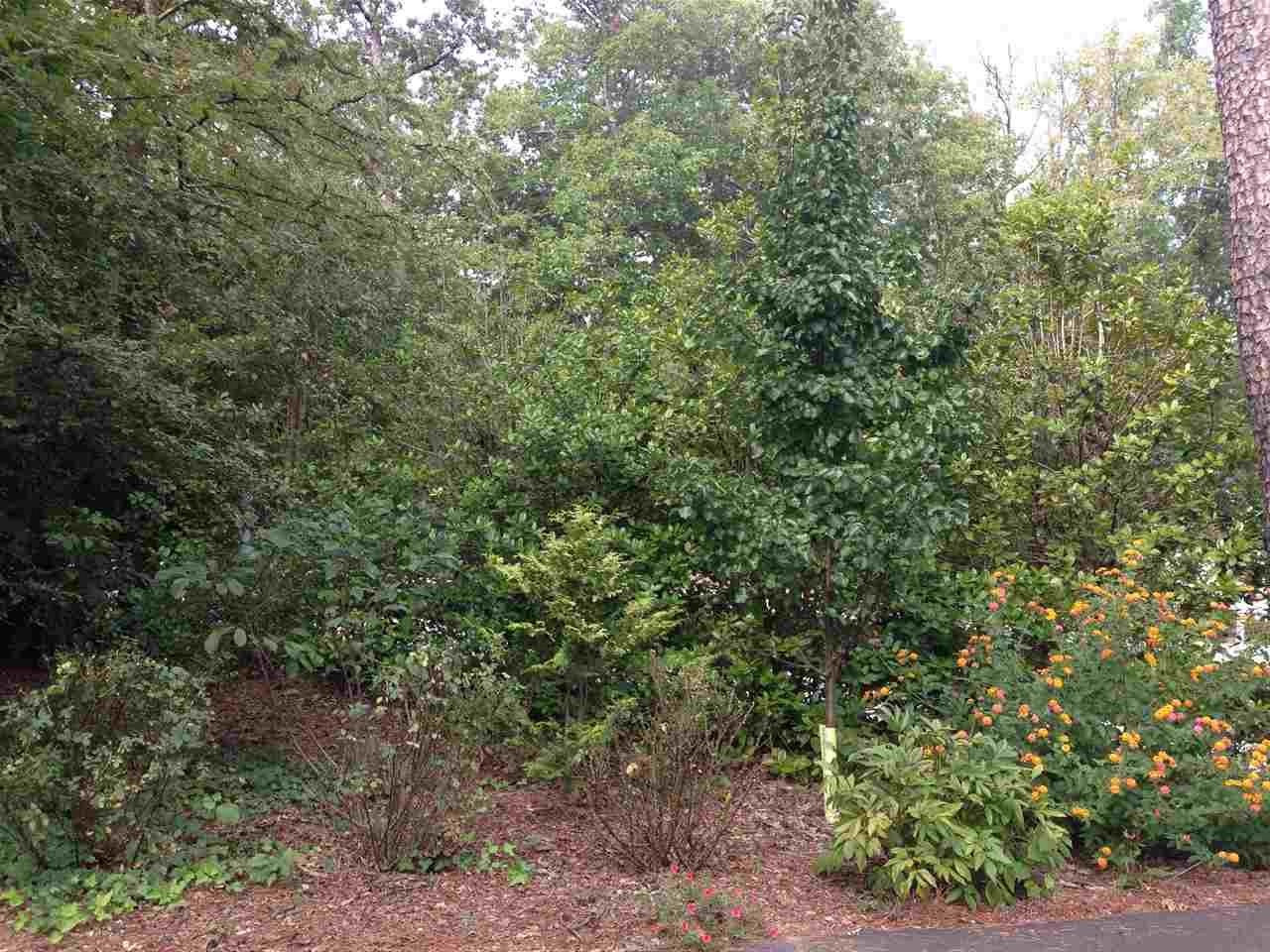 3439 Rugby Road Durham, NC 27707 - Photo 20 of 20 Photo 20