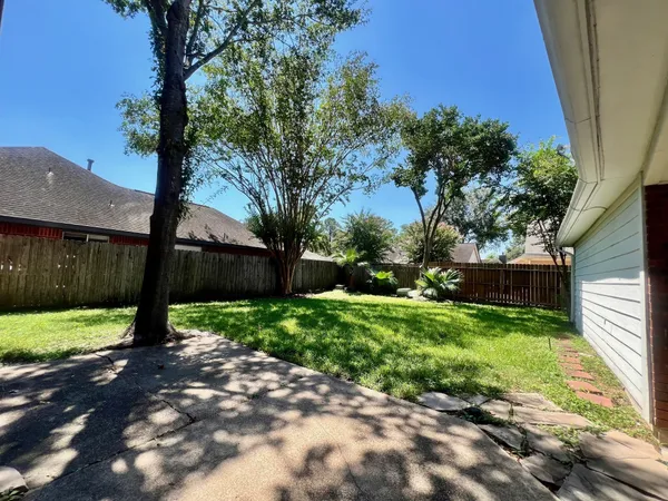 a view of a yard with plants and trees
