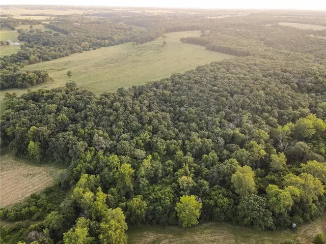 $1,200,000 | 0 South 162nd Road, Bolivar, MO 65613