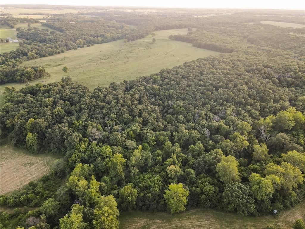 0 South 162nd Road Bolivar, MO 65613 - Photo 17 of 81