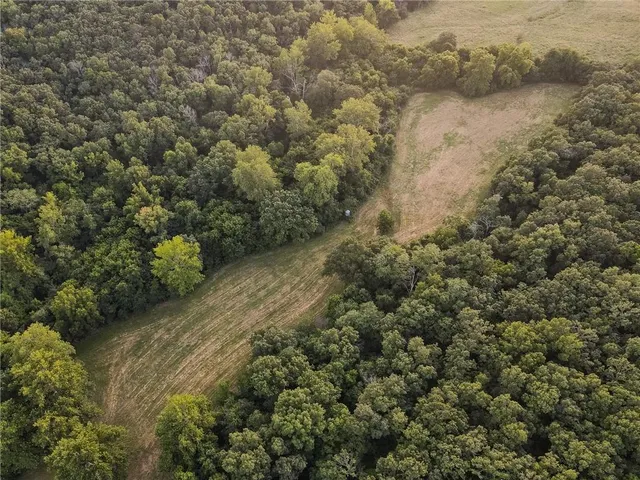 $1,200,000 | 0 South 162nd Road, Bolivar, MO 65613