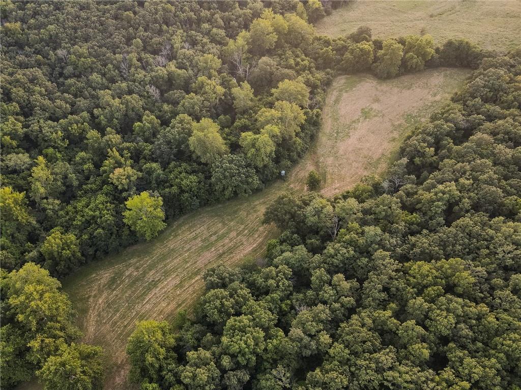 0 South 162nd Road Bolivar, MO 65613 - Photo 18 of 81