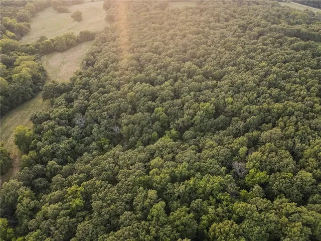 $1,200,000 | 0 South 162nd Road, Bolivar, MO 65613