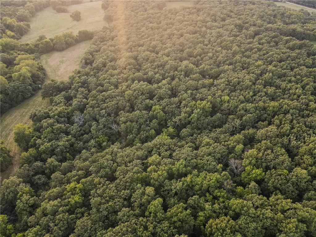 0 South 162nd Road Bolivar, MO 65613 - Photo 19 of 81