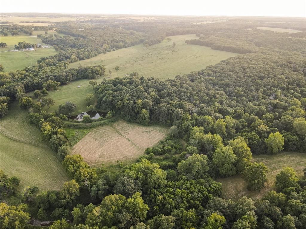 0 South 162nd Road Bolivar, MO 65613 - Photo 20 of 81