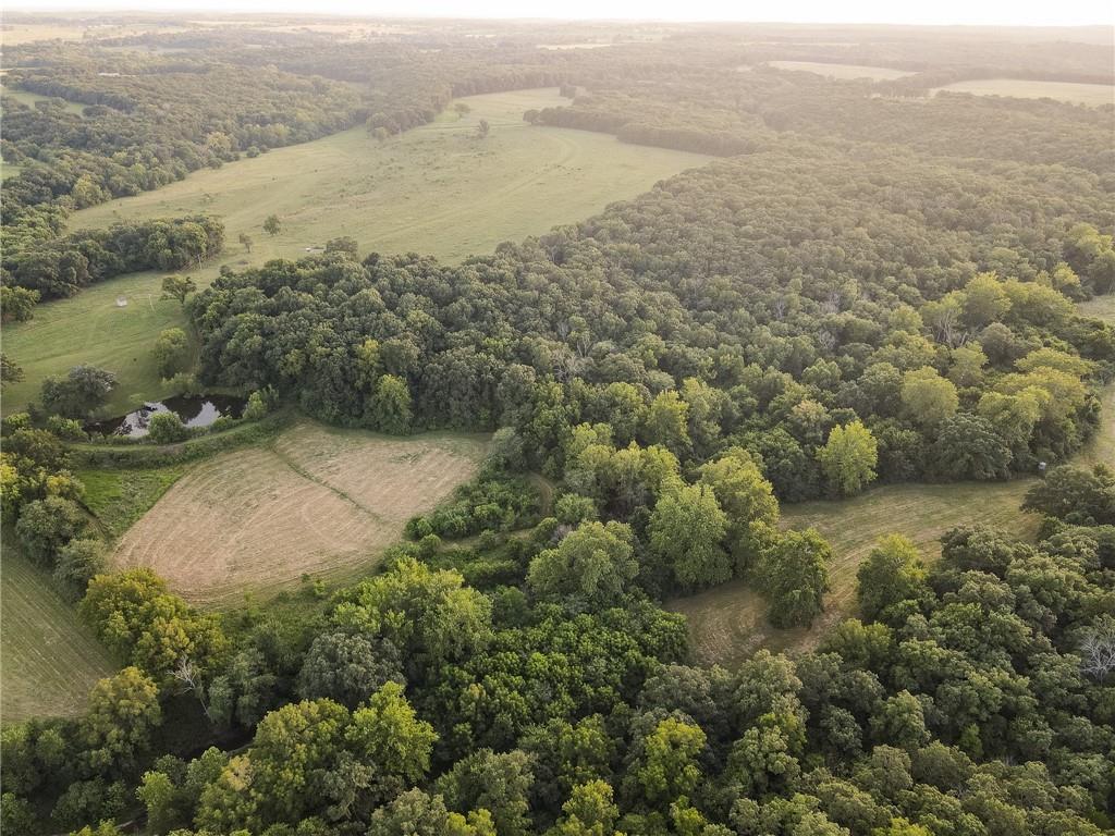 0 South 162nd Road Bolivar, MO 65613 - Photo 21 of 81