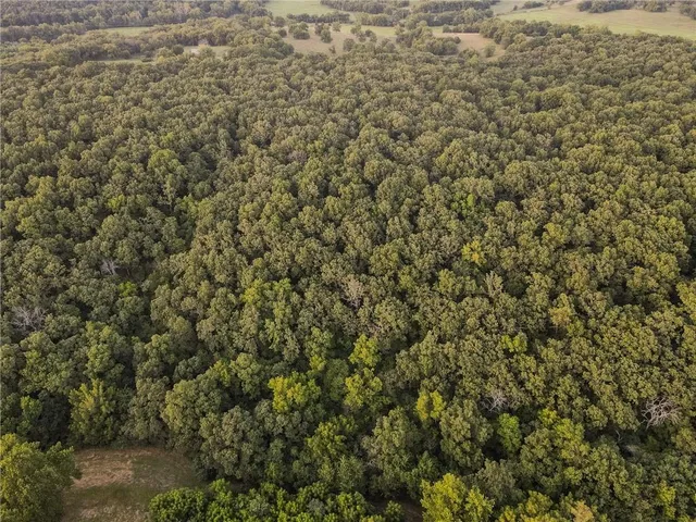 $1,200,000 | 0 South 162nd Road, Bolivar, MO 65613