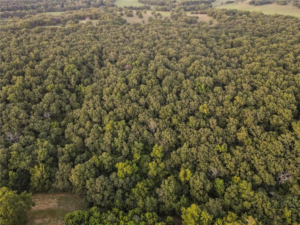 0 South 162nd Road Bolivar, MO 65613 - Photo 23 of 81