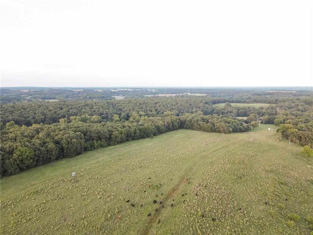 0 South 162nd Road Bolivar, MO 65613 - Photo 27 of 81