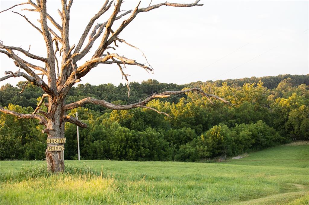 0 South 162nd Road Bolivar, MO 65613 - Photo 55 of 81