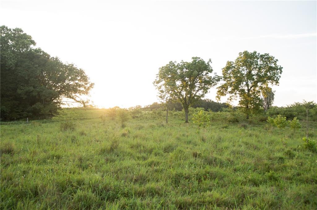 0 South 162nd Road Bolivar, MO 65613 - Photo 58 of 81