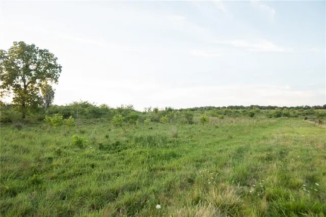 $1,200,000 | 0 South 162nd Road, Bolivar, MO 65613