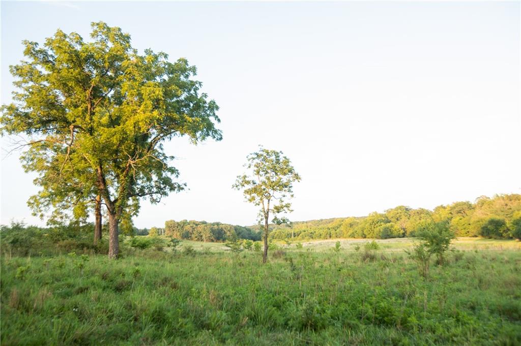 0 South 162nd Road Bolivar, MO 65613 - Photo 61 of 81