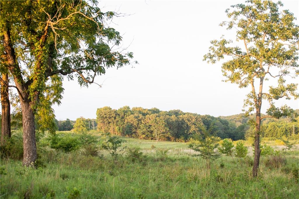 0 South 162nd Road Bolivar, MO 65613 - Photo 62 of 81