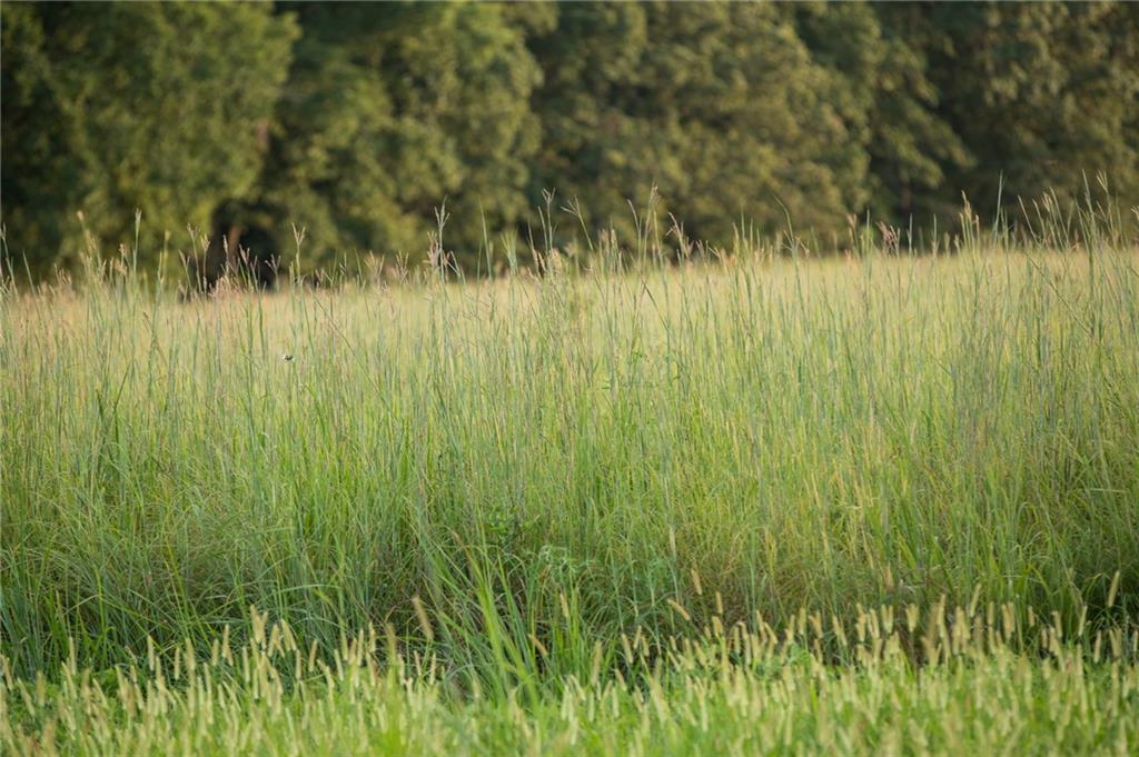 0 South 162nd Road Bolivar, MO 65613 - Photo 63 of 81