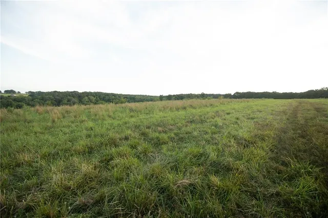 $1,200,000 | 0 South 162nd Road, Bolivar, MO 65613