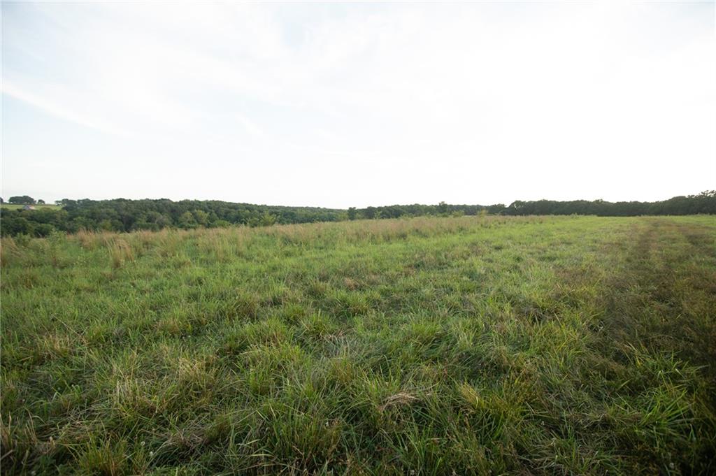 0 South 162nd Road Bolivar, MO 65613 - Photo 65 of 81