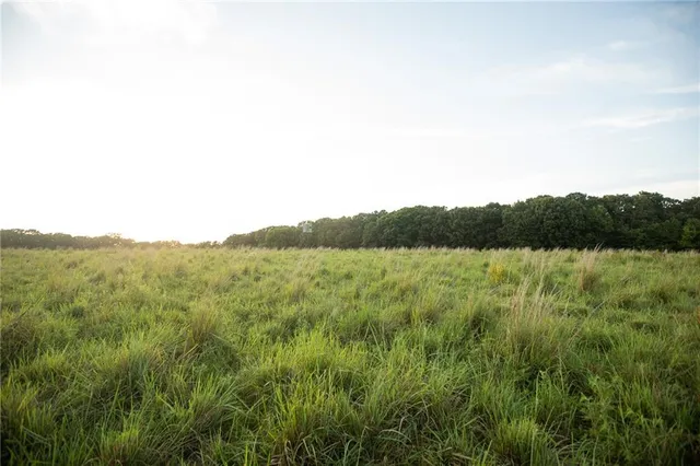 $1,200,000 | 0 South 162nd Road, Bolivar, MO 65613