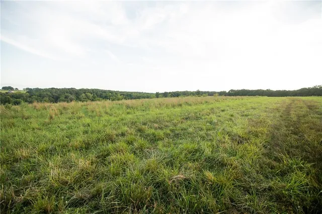 $1,200,000 | 0 South 162nd Road, Bolivar, MO 65613