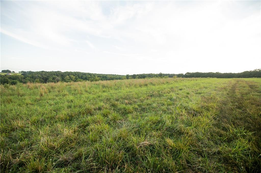 0 South 162nd Road Bolivar, MO 65613 - Photo 67 of 81