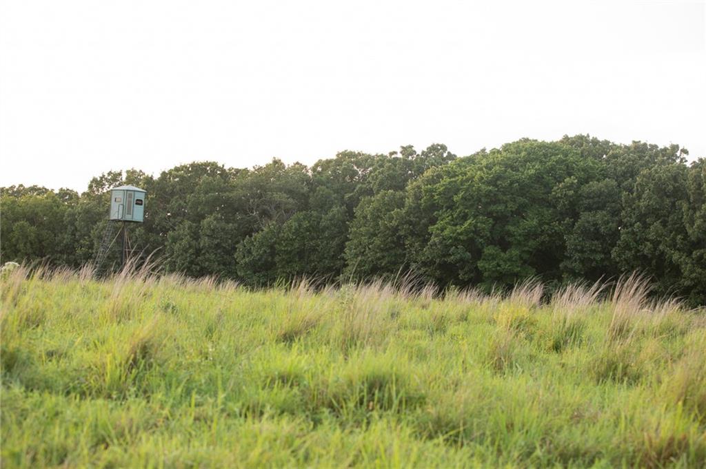 0 South 162nd Road Bolivar, MO 65613 - Photo 68 of 81