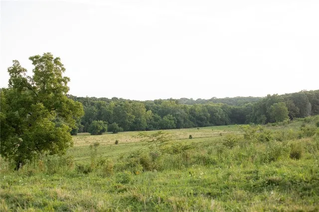 $1,200,000 | 0 South 162nd Road, Bolivar, MO 65613