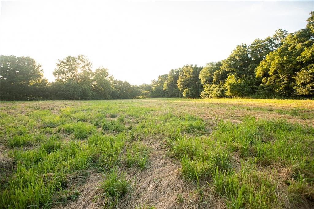 0 South 162nd Road Bolivar, MO 65613 - Photo 75 of 81