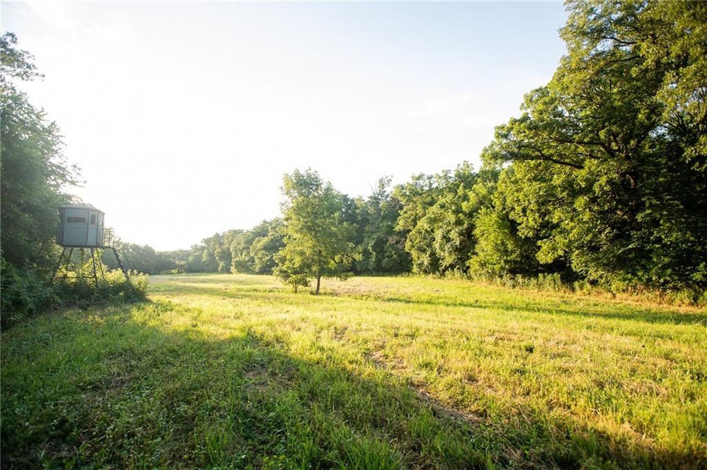 0 South 162nd Road Bolivar, MO 65613 - Photo 76 of 81