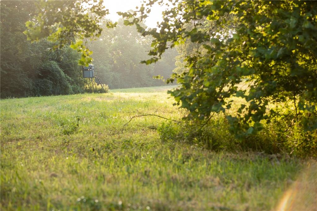 0 South 162nd Road Bolivar, MO 65613 - Photo 79 of 81