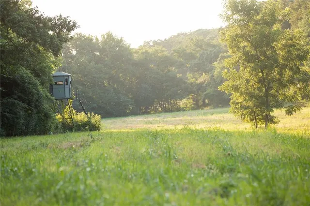 $1,200,000 | 0 South 162nd Road, Bolivar, MO 65613