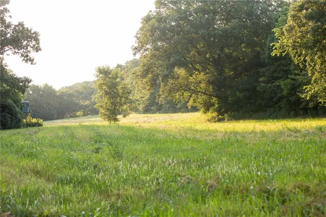 $1,200,000 | 0 South 162nd Road, Bolivar, MO 65613