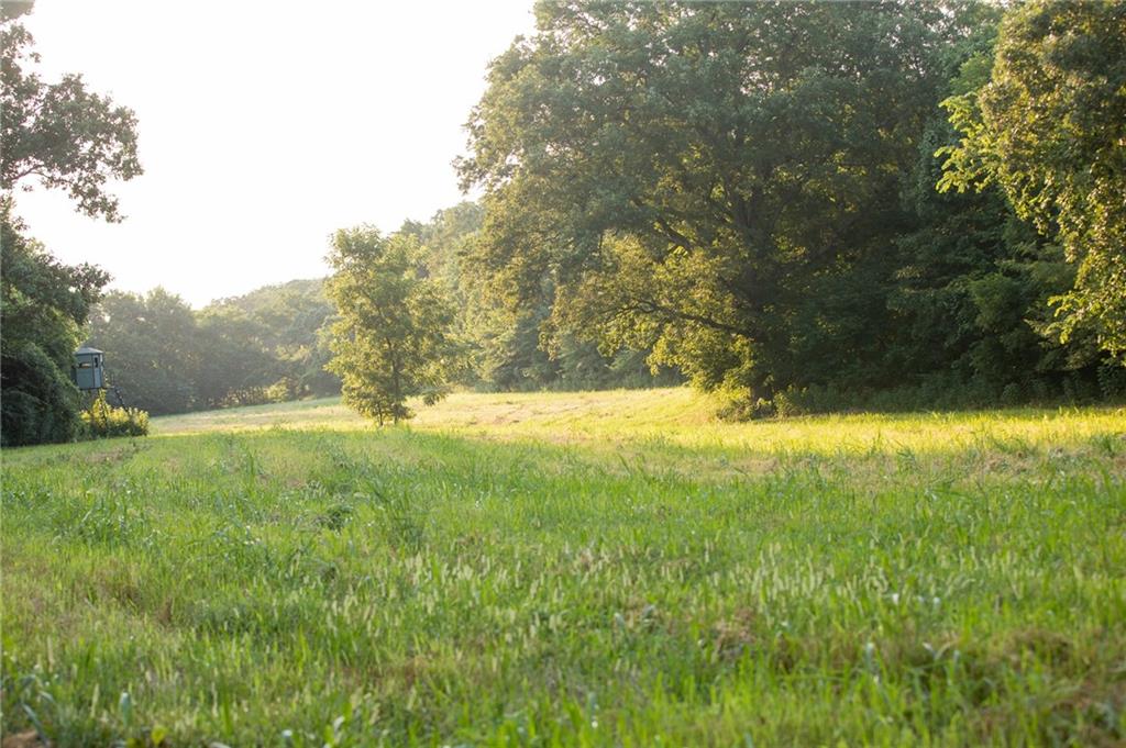 0 South 162nd Road Bolivar, MO 65613 - Photo 81 of 81