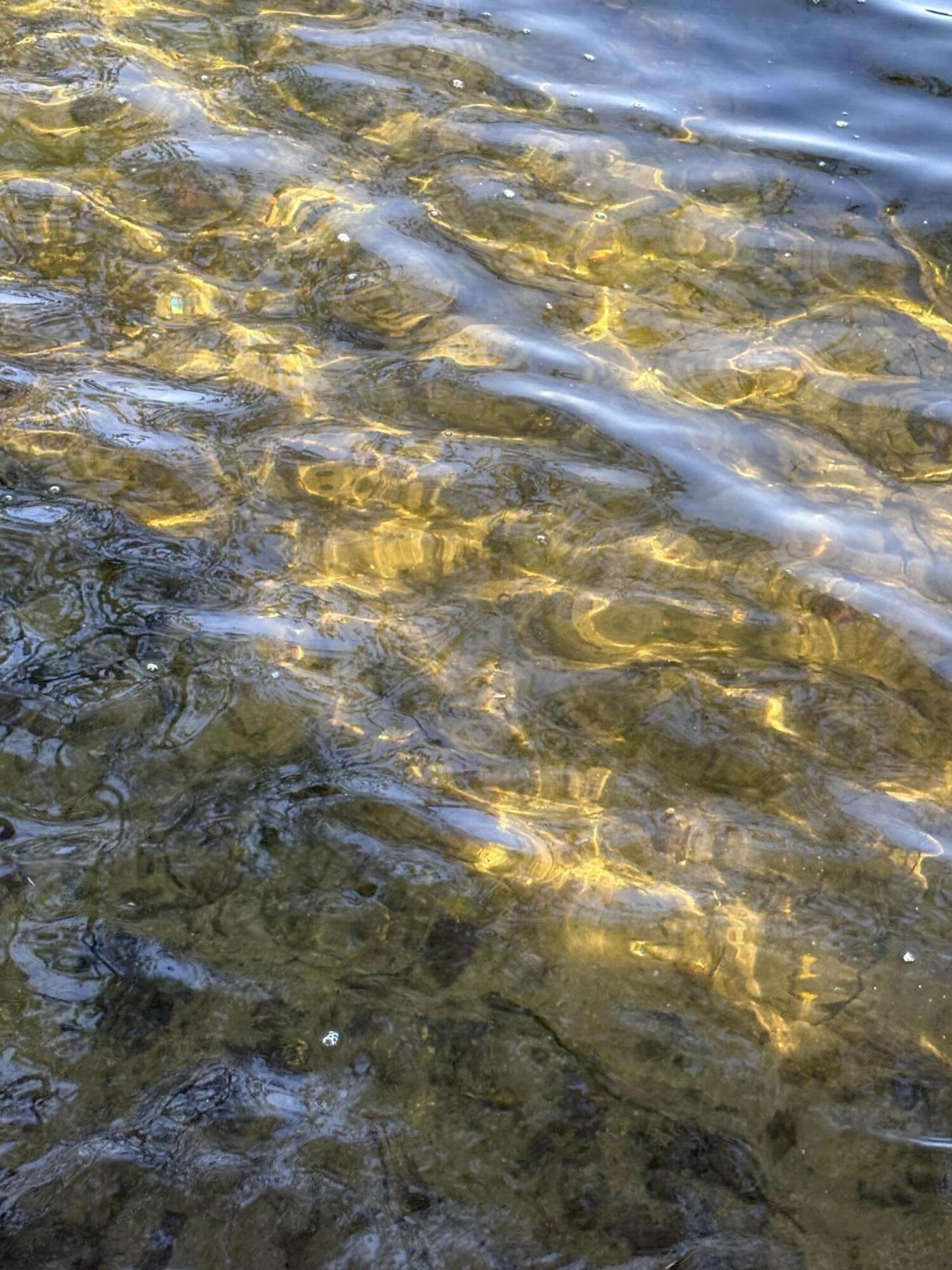 Sandy frontage