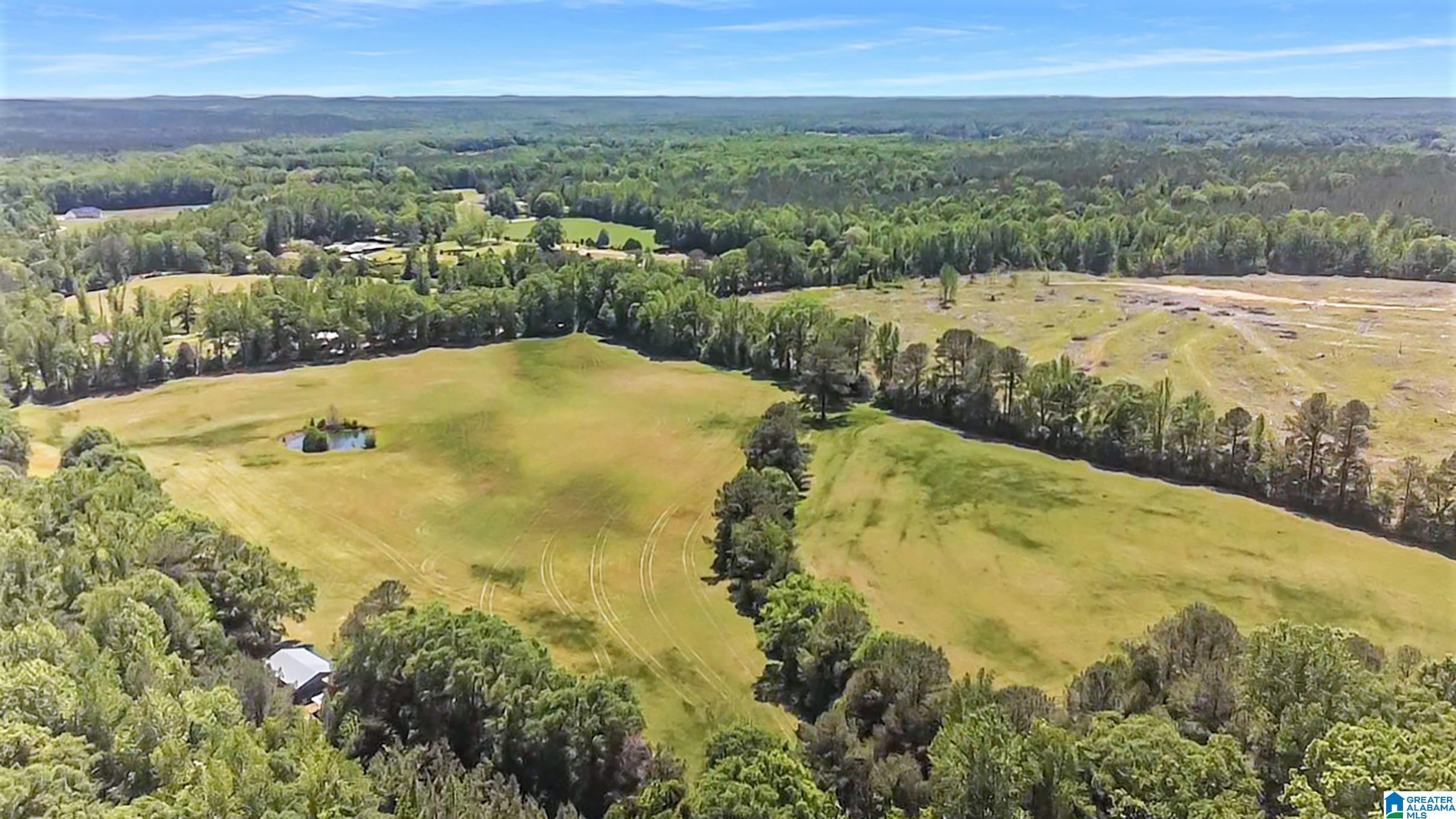 5133 Highway 36 Randolph Al Randolph, AL 36792 - Photo 33 of 36