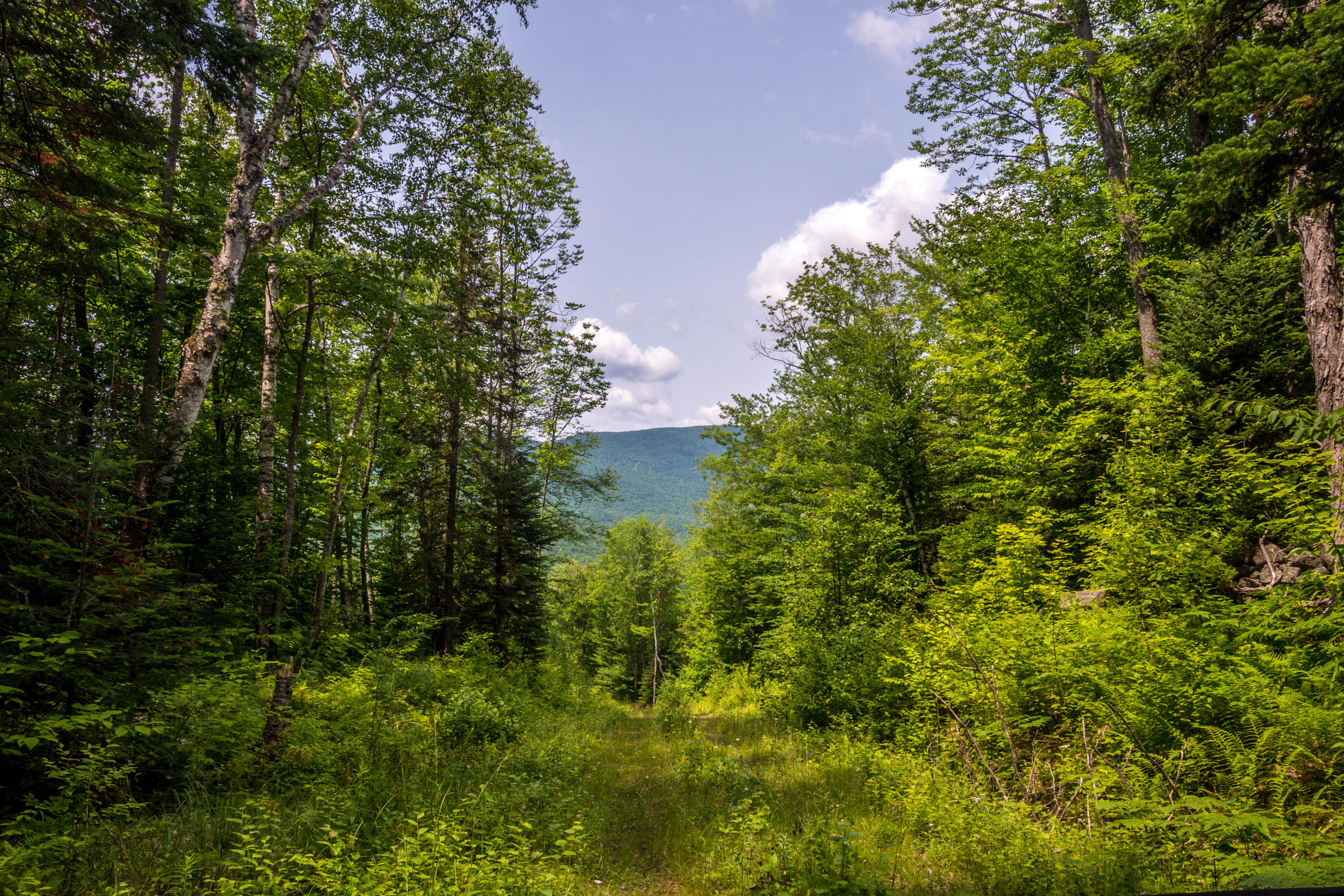 Lot 2 Puzzle Mountain Road Newry, ME 04261 - Photo 3 of 25 Bob Stewart Land-25