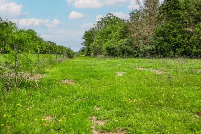 a view of a pathway with a yard