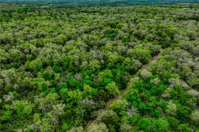 a view of a lush green space