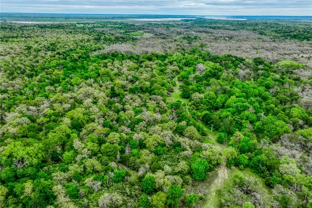 a view of a lush green space with sea