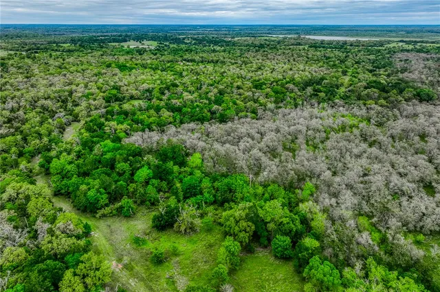 an aerial view of a houses with a lush green hillside