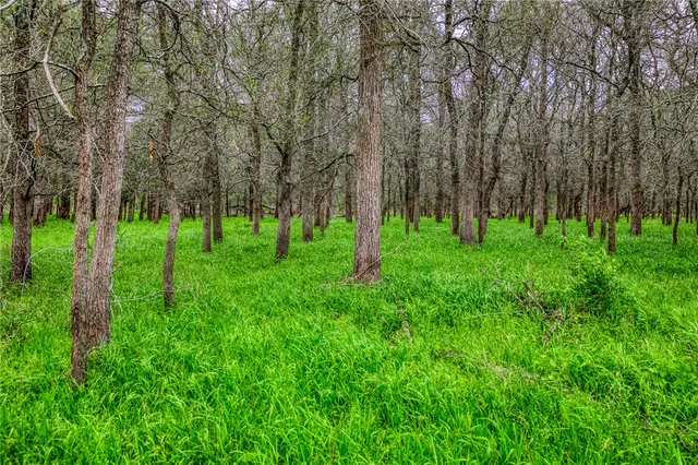 a view of green field with trees in the background