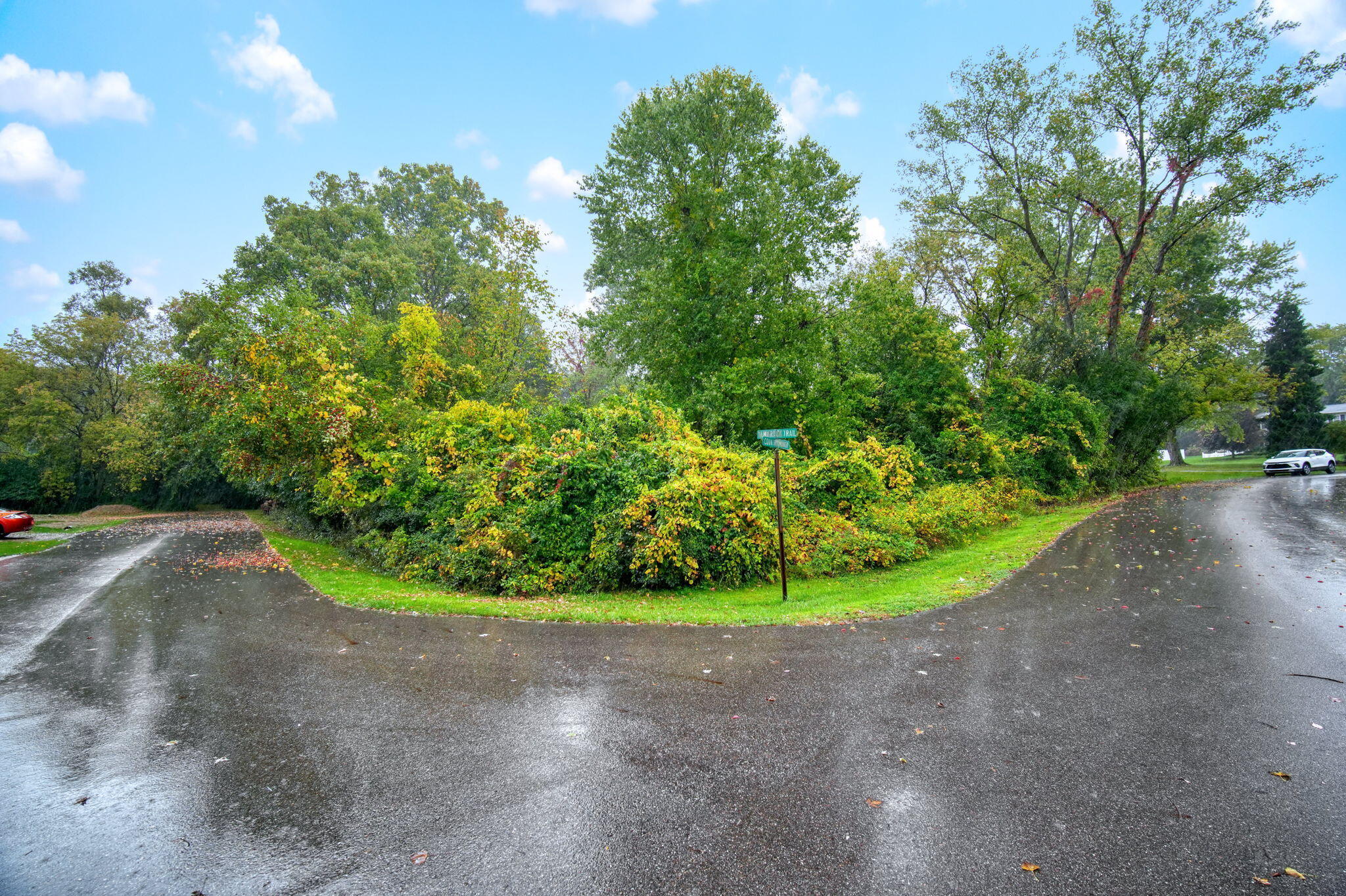 4989 Country Manor Road Jackson, MI 49201 - Photo 54 of 57 54