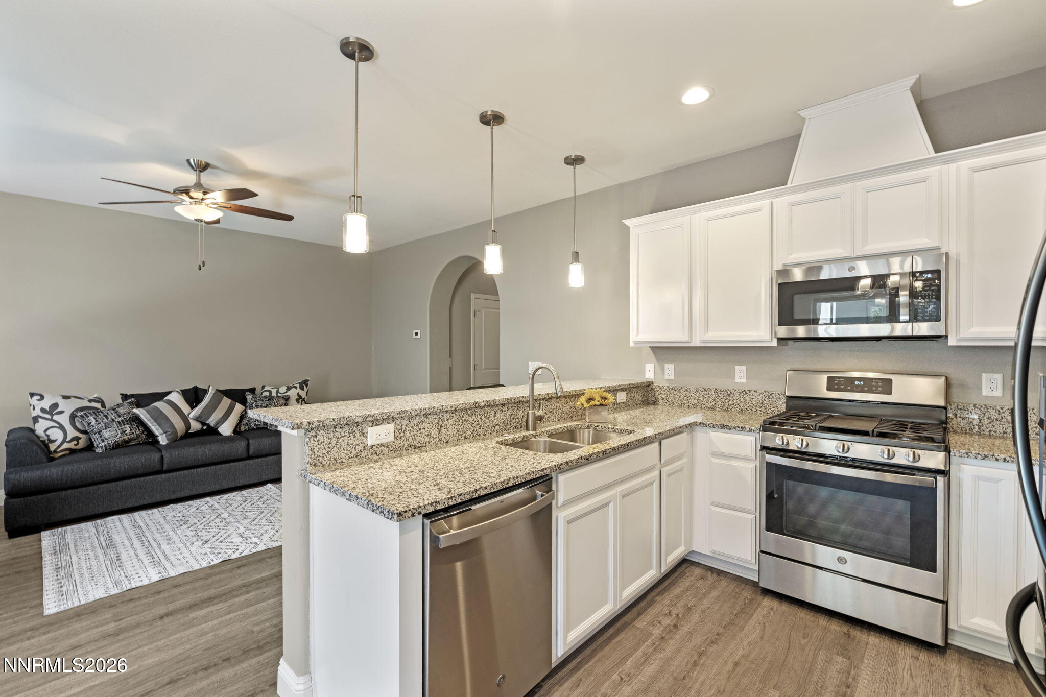 1302 Handelin Road Carson City, NV 89706 - Photo 4 of 29 16-web-or-mls-DSC08546