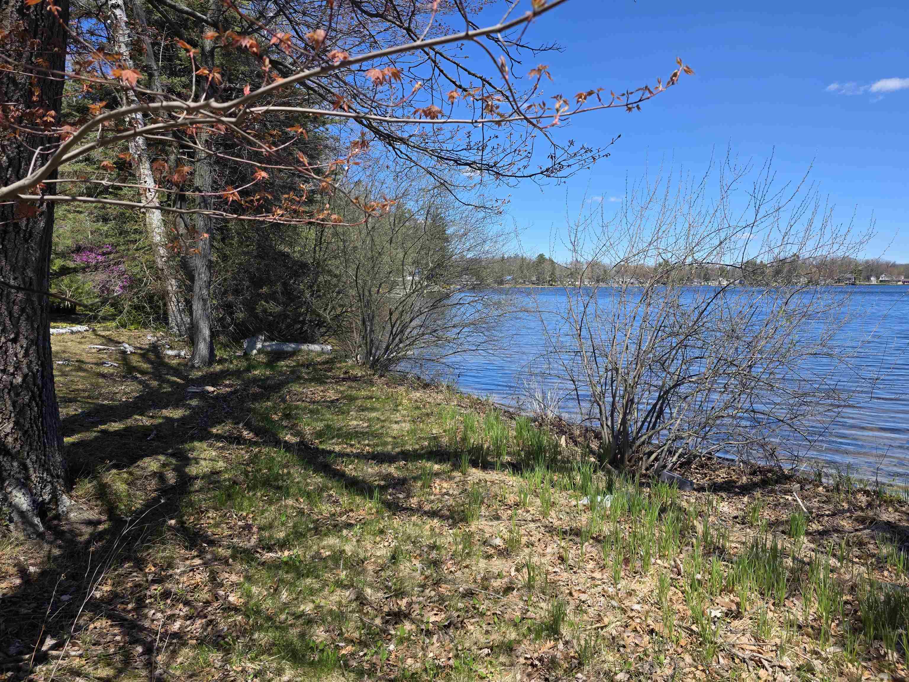 0 Bliss Road Hale, MI 48739 - Photo 13 of 14
