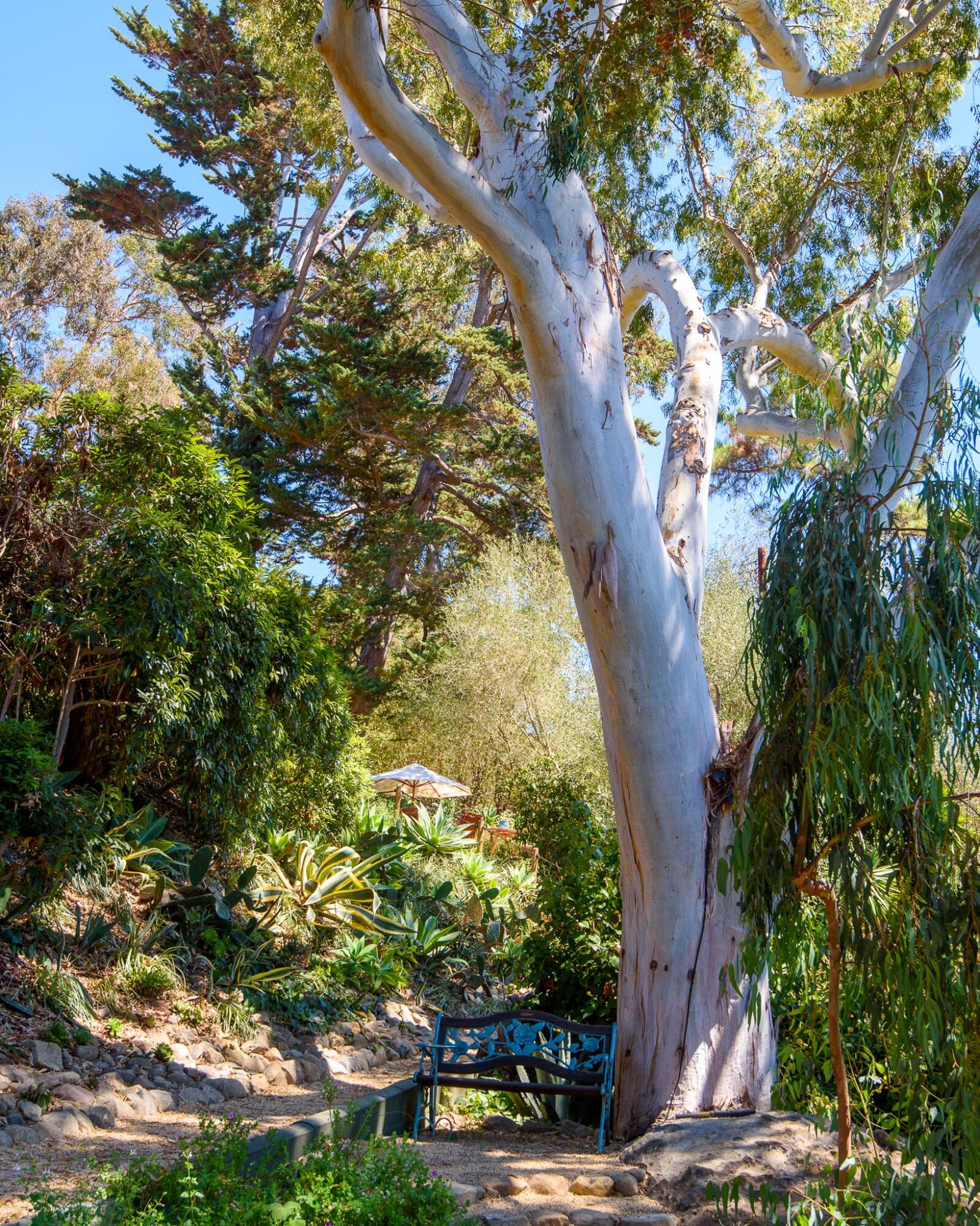 726 El Rancho Road Montecito, CA 93108 - Photo 38 of 43 Gardens