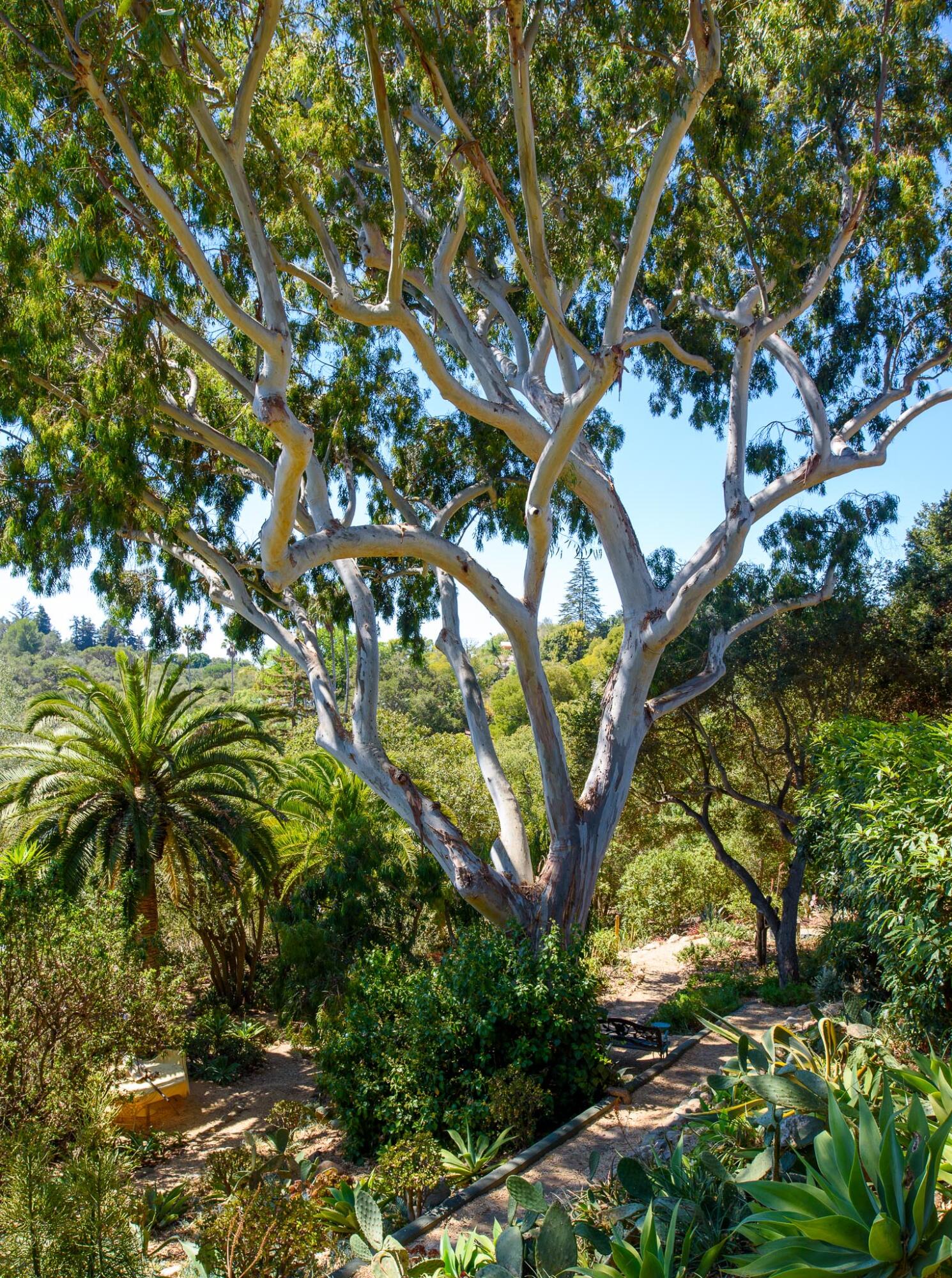726 El Rancho Road Montecito, CA 93108 - Photo 39 of 43 Gardens